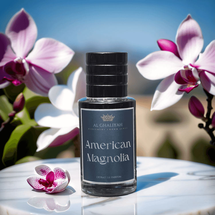 MAGNOLIA AMERICANA